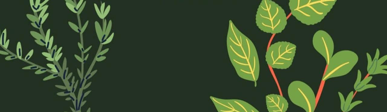 CONOSCIAMO LE ERBE